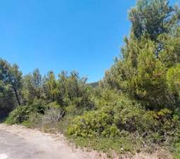 Suelo En Venta En El Pinar, Alcal? De Xivert Suelo En Venta En El Pinar, Alcal? De Xivert