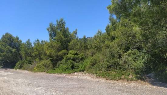 Suelo En Venta En El Pinar, Alcal? De Xivert