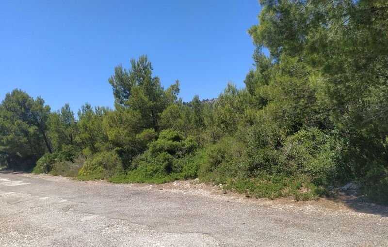 Suelo En Venta En El Pinar, Alcal? De Xivert
