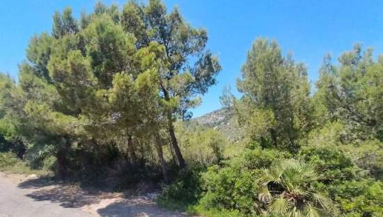Suelo En Venta En El Pinar, Alcal? De Xivert