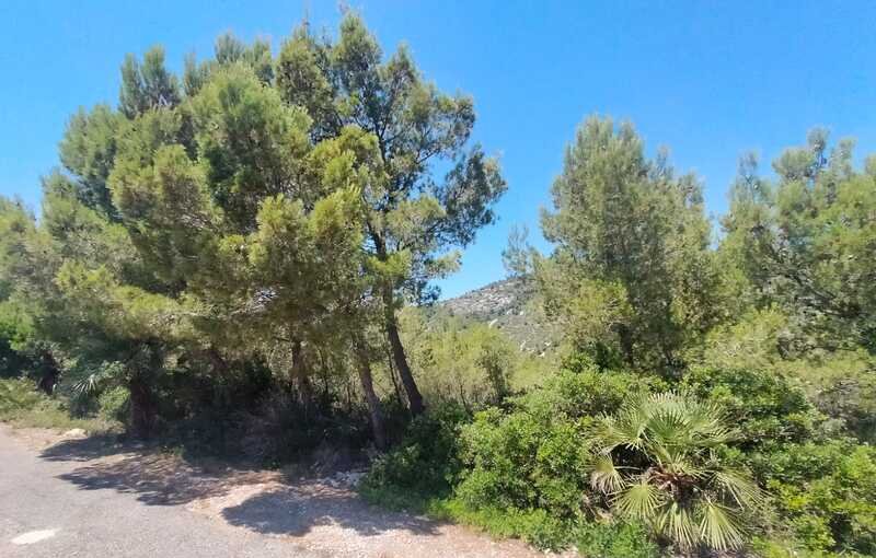 Suelo En Venta En El Pinar, Alcal? De Xivert