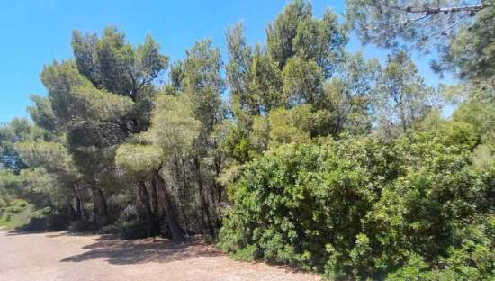 Suelo En Venta En El Pinar, Alcal? De Xivert