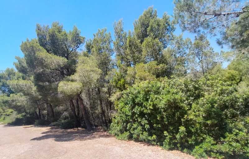 Suelo En Venta En El Pinar, Alcal? De Xivert