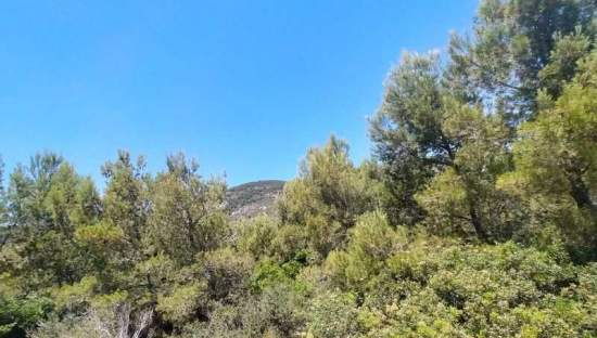 Suelo En Venta En El Pinar, Alcal? De Xivert