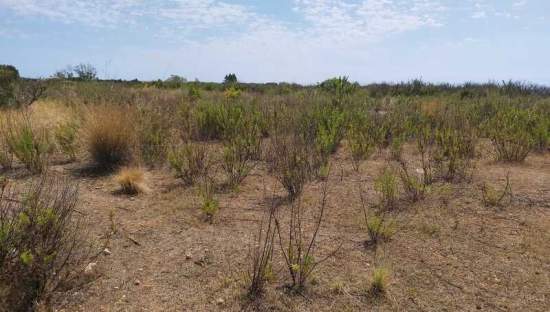Terreno Urbano en venta en Oropesa, Castellón