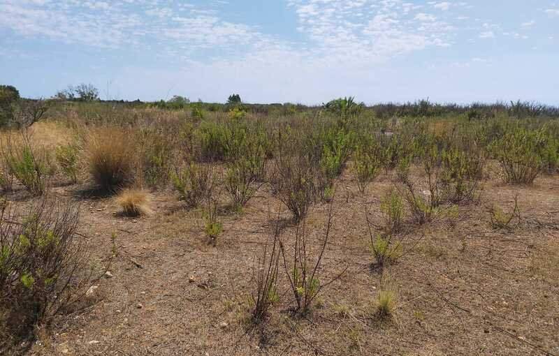 Terreno Urbano en venta en Oropesa, Castellón