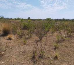 Terreno Urbano en venta en Oropesa, Castellón