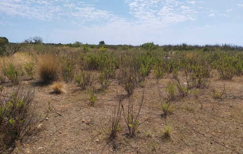 Terreno Urbano en venta en Oropesa, Castellón