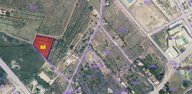 Terreno Urbano en venta en Oropesa, Castellón