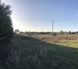 Terreno Urbano en venta en Oropesa, Castellón
