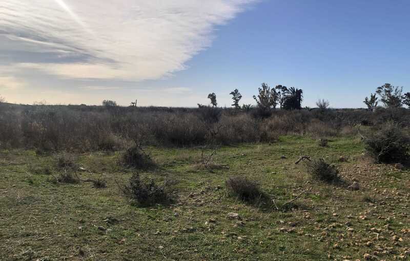 Terreno Urbano en venta en Oropesa, Castellón