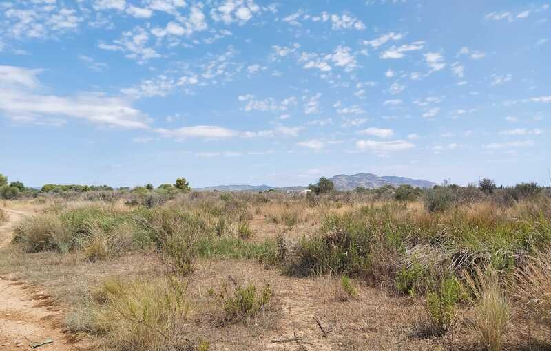 Terreno Urbano en venta en Oropesa, Castellón