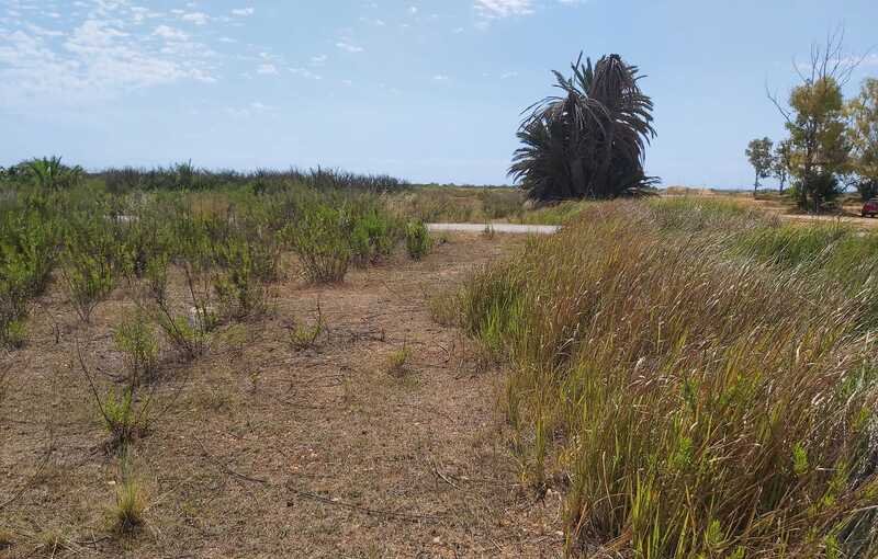 Terreno Urbano en venta en Oropesa, Castellón