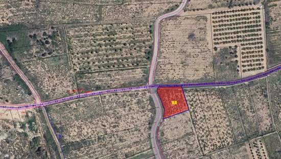 Urbano (Solar) en venta  en Polígono Industrial 2, Alfarp, Valencia