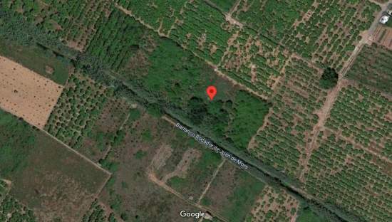 Solar en venta en Pasaje Paraje Seits Poligono 23 Parcela 219, 12520, Nules Castellón