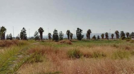 Suelo urbanizable sectorizado en Sc Belcaire Sur - Moncófar -