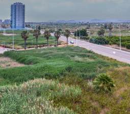 Urbano Solar en venta  en Calle Benidorm Moncofa Castelln