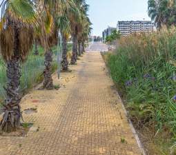 Urbano Solar en venta  en Calle Benidorm Moncofa Castelln