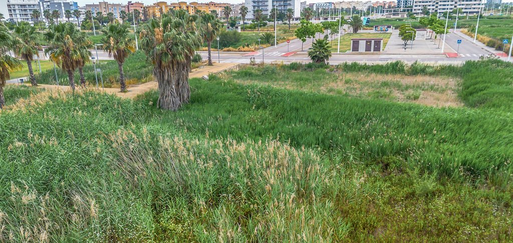 Urbano Solar en venta  en Calle Benidorm Moncofa Castelln