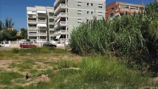 Urbano Solar en venta  en Calle Benidorm Moncofa Castelln