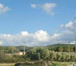 No Urbanizable (Rústico) en venta  en Avenida Del Llombo, Ontinyent, Valencia