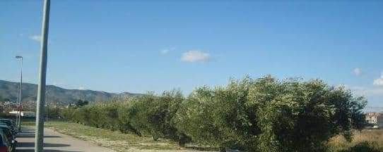 No Urbanizable (Rústico) en venta  en Avenida Del Llombo, Ontinyent, Valencia