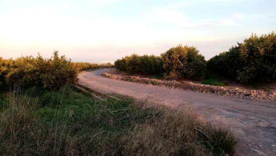 Suelo Rstico No Urbanizable en venta en Polgono 4 La Vall Duix Castelln