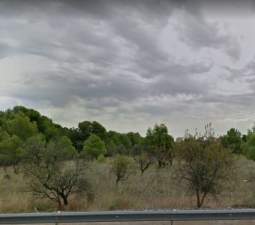 No Urbanizable (Rústico) en venta  en Polígono Parcela 255, Benicasim, Castellón
