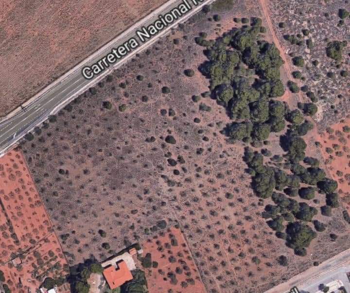 No Urbanizable (Rústico) en venta  en Polígono Parcela 255, Benicasim, Castellón