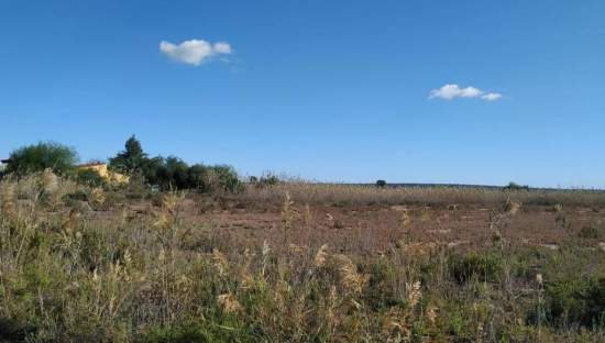 No Urbanizable Rstico en venta  en Lugar Derramador Elche Alicante