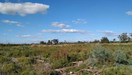 No Urbanizable Rstico en venta  en Lugar Derramador Elche Alicante