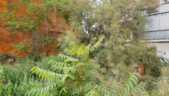 Terreno en venta en Torreagüera, Murcia