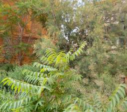 Terreno en venta en Torreagüera, Murcia