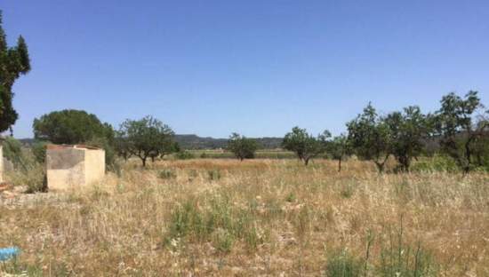 No Urbanizable Rstico en venta  en Polgono Poligono 8-Rs Villar Del Arzobispo Valencia