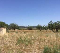 No Urbanizable Rstico en venta  en Polgono Poligono 8-Rs Villar Del Arzobispo Valencia