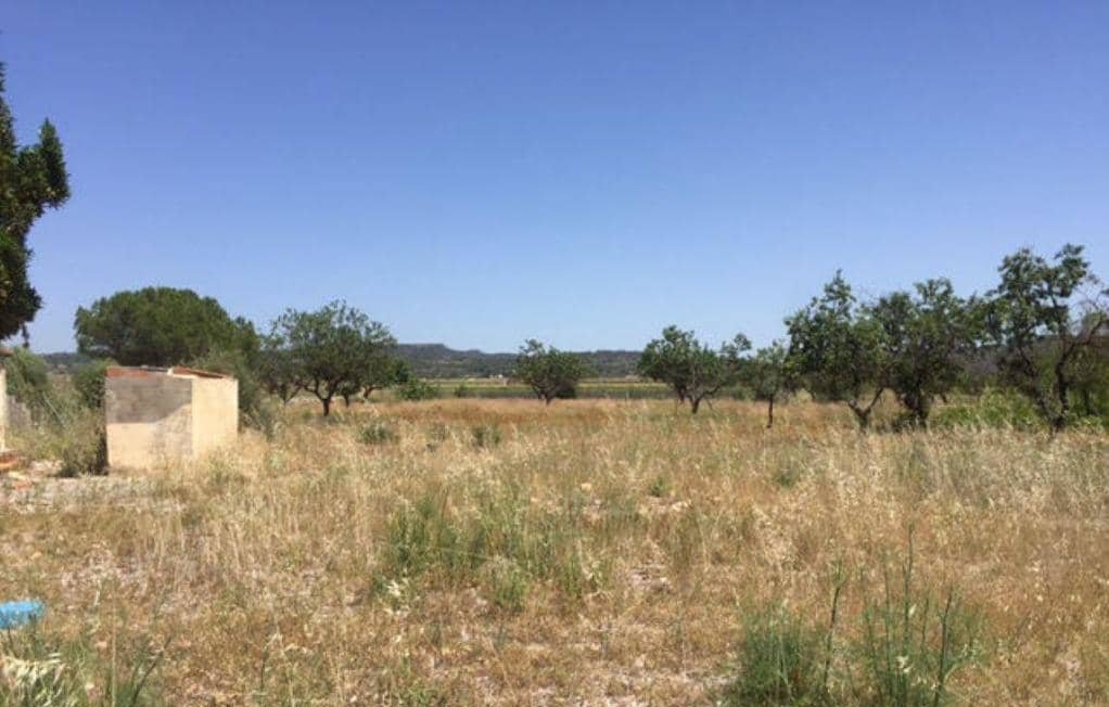 No Urbanizable Rstico en venta  en Polgono Poligono 8-Rs Villar Del Arzobispo Valencia