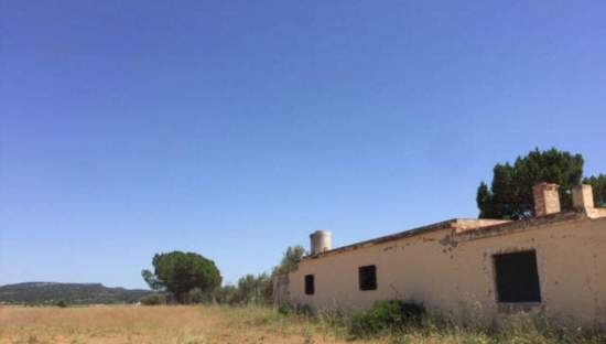 No Urbanizable Rstico en venta  en Polgono Poligono 8-Rs Villar Del Arzobispo Valencia