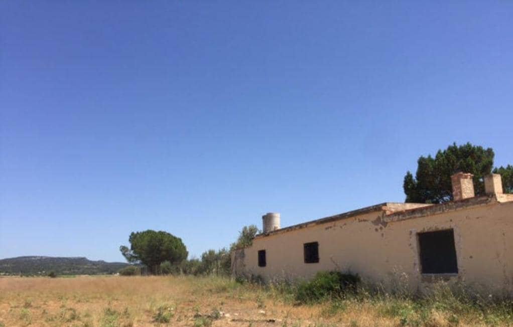 No Urbanizable Rstico en venta  en Polgono Poligono 8-Rs Villar Del Arzobispo Valencia