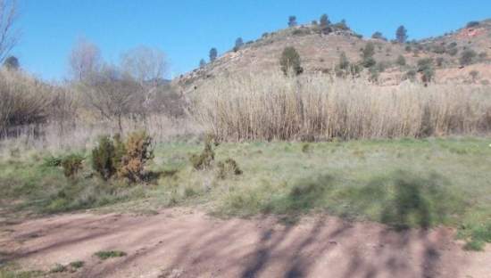 No Urbanizable Rstico en venta  en Calle Fuente Del Sol Jarafuel Valencia