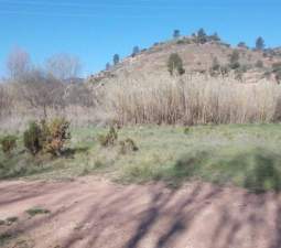 No Urbanizable Rstico en venta  en Calle Fuente Del Sol Jarafuel Valencia