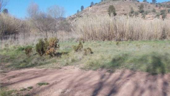 No Urbanizable Rstico en venta  en Calle Fuente Del Sol Jarafuel Valencia