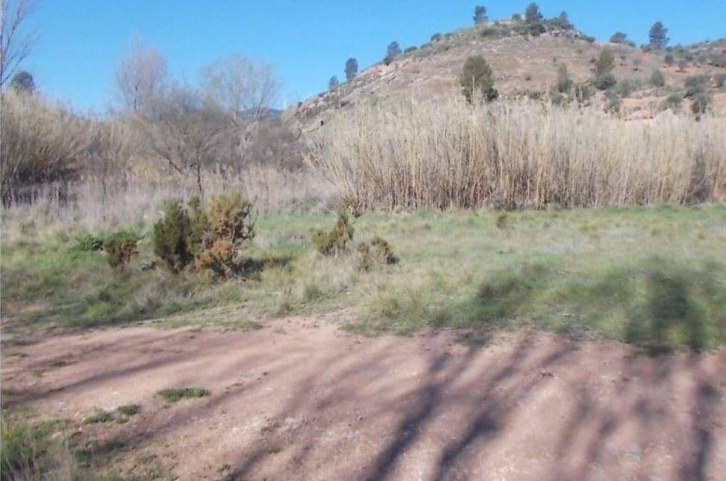No Urbanizable Rstico en venta  en Calle Fuente Del Sol Jarafuel Valencia