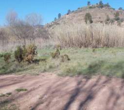 No Urbanizable Rstico en venta  en Calle Fuente Del Sol Jarafuel Valencia