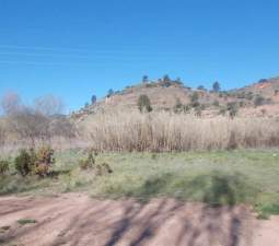No Urbanizable Rstico en venta  en Calle Fuente Del Sol Jarafuel Valencia
