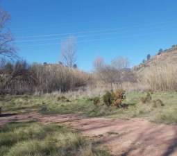 No Urbanizable Rstico en venta  en Calle Fuente Del Sol Jarafuel Valencia