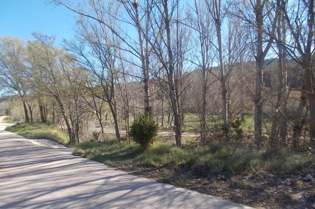 No Urbanizable Rstico en venta  en Calle Fuente Del Sol Jarafuel Valencia