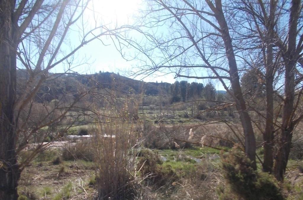 No Urbanizable Rstico en venta  en Calle Fuente Del Sol Jarafuel Valencia