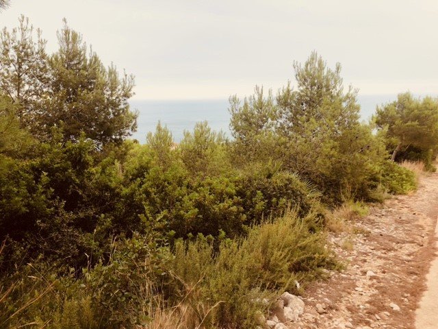 Terreno en venta en Alcalá De Chivert