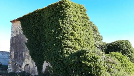 Vivienda en venta en San Mateo, Castellón