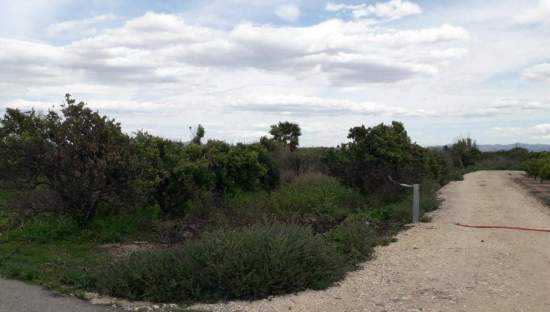 No Urbanizable Rstico en venta  en Pasaje Fondos Alberic Valencia